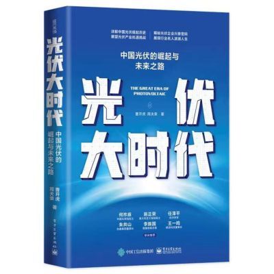 Chinese Solar PV Industry Rise - Renewable Energy Books avis et prix
